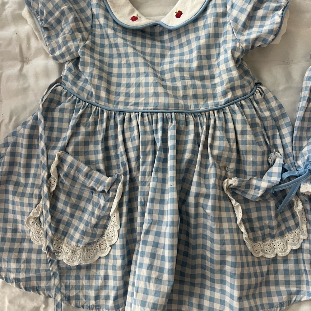 SweetHoney Blue and White Gingham Dress